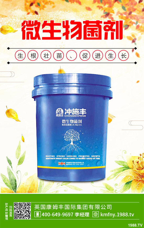 我國南方該怎樣種植藍莓？藍莓高產(chǎn)種植技術(shù)要點