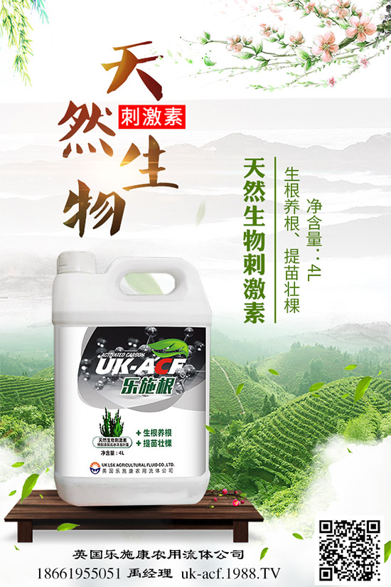 冬季該如何栽培馬鈴薯？七步輕松獲得高產(chǎn)