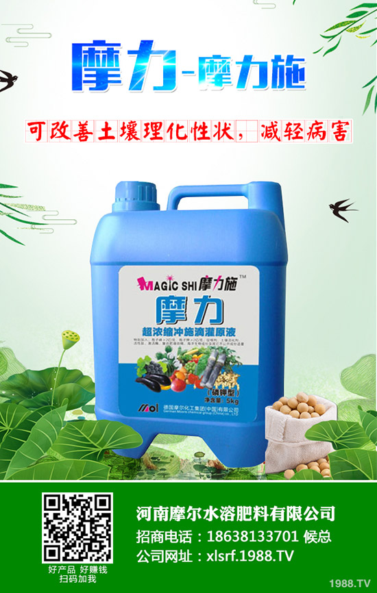 甜瓜用什么肥料好，甜瓜施肥技術(shù)有哪些？