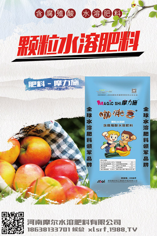 葉面肥種類有哪些，如何正確使用葉面肥？