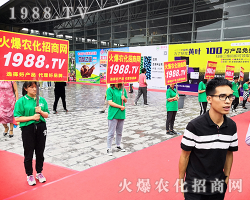     ���r(n��ng)�����̾W(w��ng)��2019�����r(n��ng)�Y�������G�ؼ����ի@�M�M