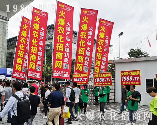     2019�����r(n��ng)�Y���[�������cͻ�@��1988.TV�ɽ��c