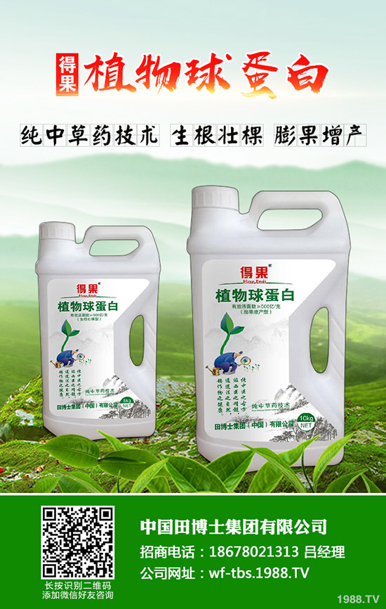     秋季種植什么蔬菜比較好！效益比較好！秋季種植指南！