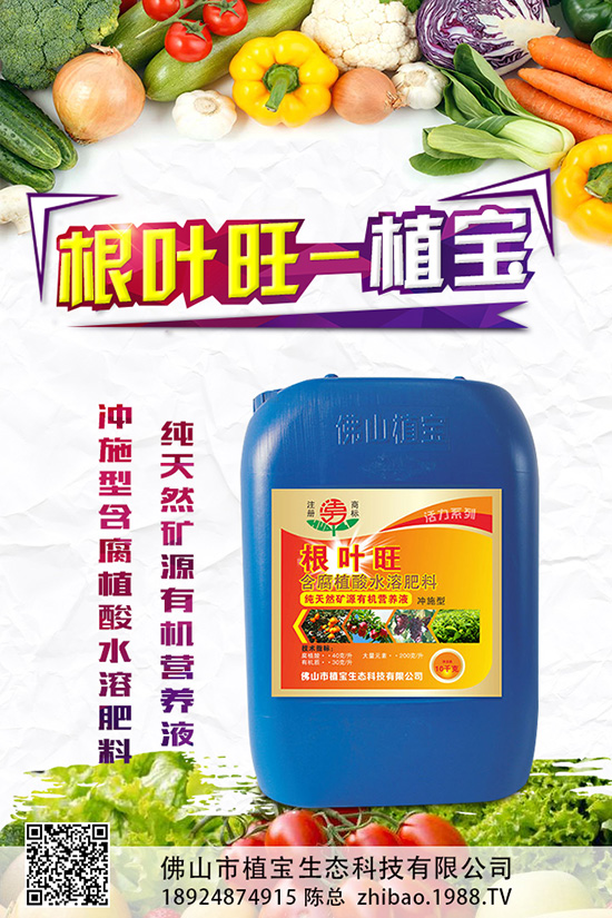 秋蘿卜什么時候種？該怎么種？2019秋蘿卜種植管理方案