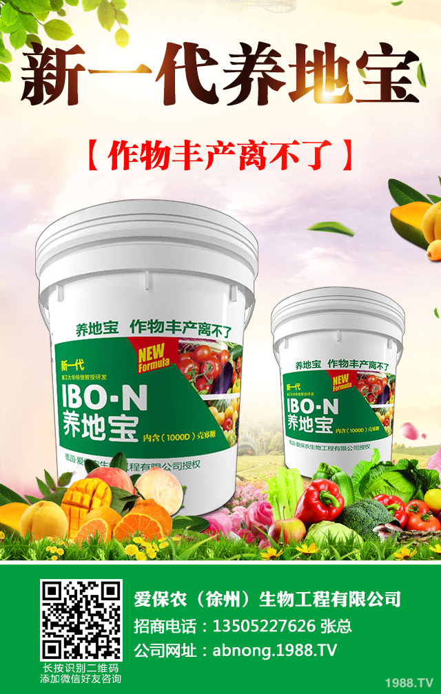 油菜葉紅苗缺什么？油菜紅苗的因素及防治