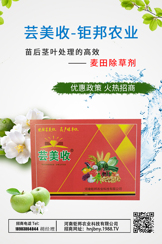 大蔥需肥特性，大蔥施肥技術(shù)要點有哪些？