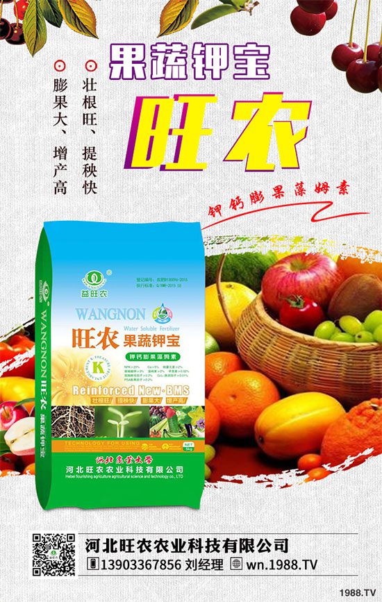 茄子育苗的種植時(shí)間，茄子育苗的栽培管理要點(diǎn)有哪些？