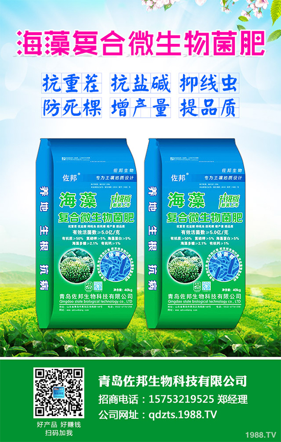     芹菜是日常生活中常見(jiàn)的蔬菜品種，對(duì)種植環(huán)境要求相對(duì)較高，只有在黏性土壤上才可以正常的生長(zhǎng)。那么，芹菜什么時(shí)候種植比較好？大棚芹菜該如何種植呢？