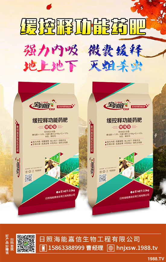 芹菜該如何種植？注意些什么？芹菜高產(chǎn)種植方案