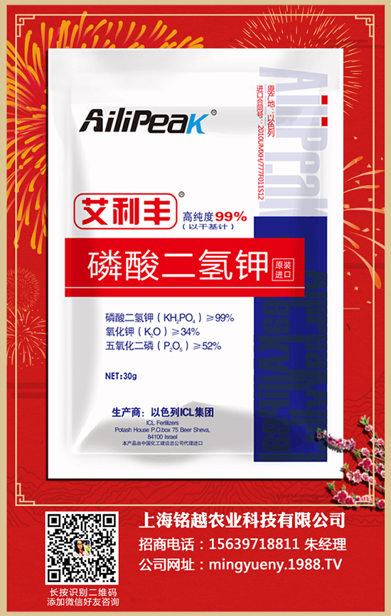 芹菜有哪些營養(yǎng)價值？吃芹菜的好處有哪些？快來看看吧！