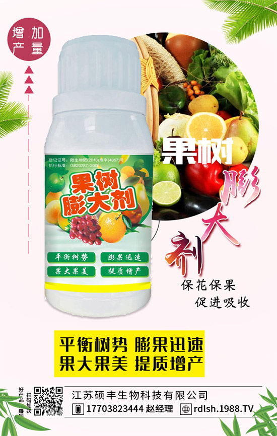 黑木耳的功效與作用，黑木耳的飲食禁忌有哪些？