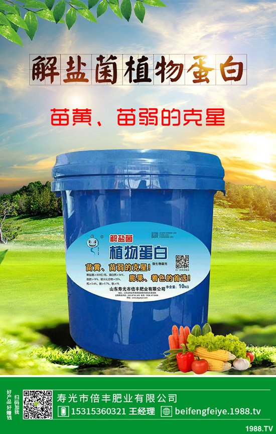 芹菜立枯病時(shí)如何引起的？該怎樣預(yù)防？芹菜立枯病大預(yù)防措施