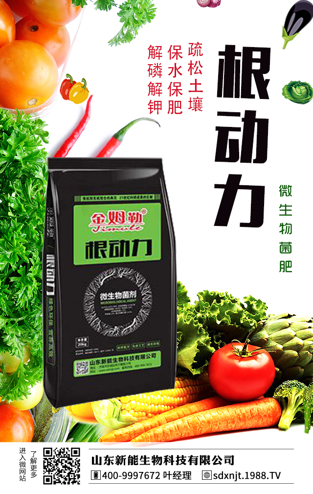 馬鈴薯需肥量大，如何給馬鈴薯施肥？