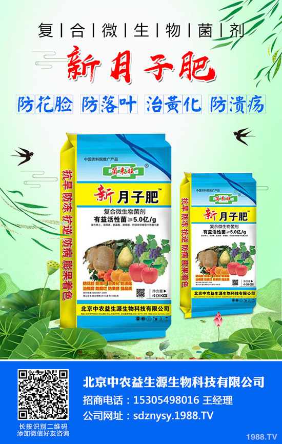 秋季大白菜什么時候種植合適？秋季大白菜的種植時間及種植方法