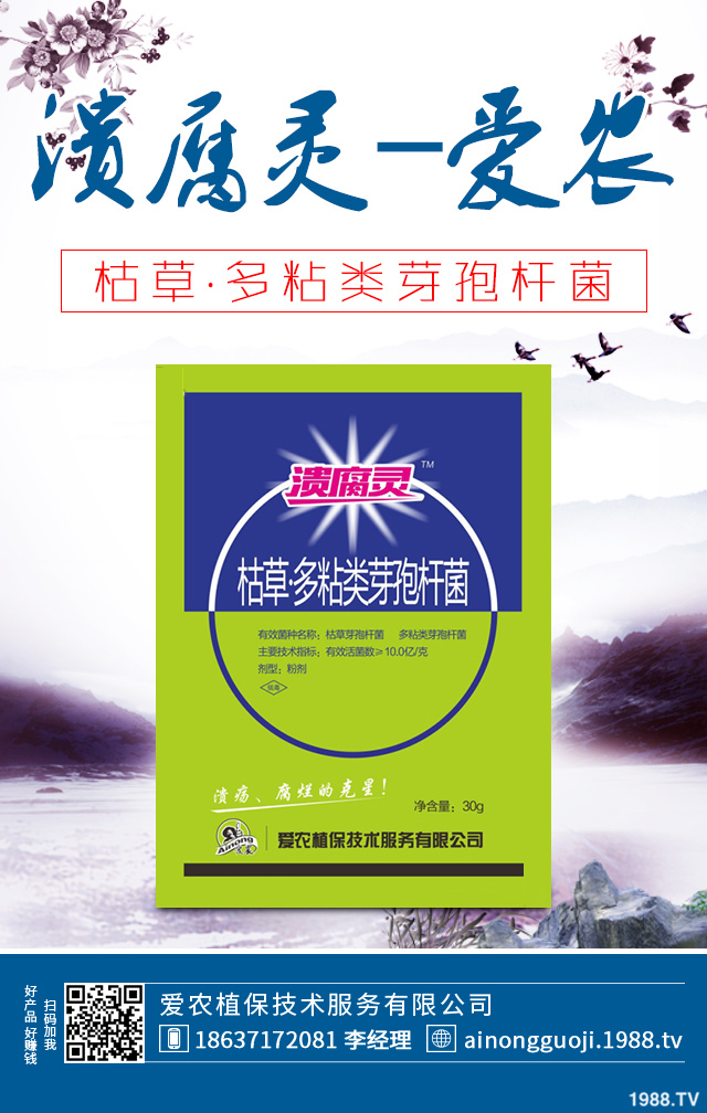 大白菜病害怎么防治？秋播大白菜病害防治方法