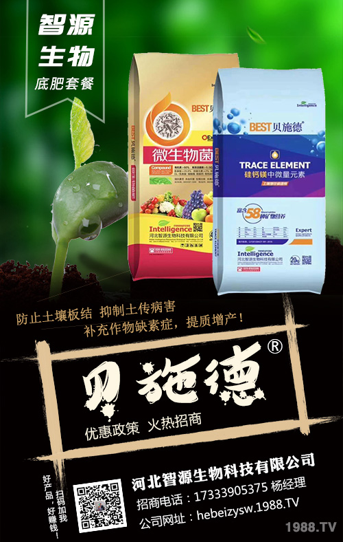 種植戶須看，豆角基肥，追肥施肥方案