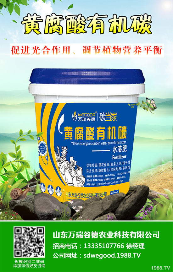     復(fù)合肥價(jià)格