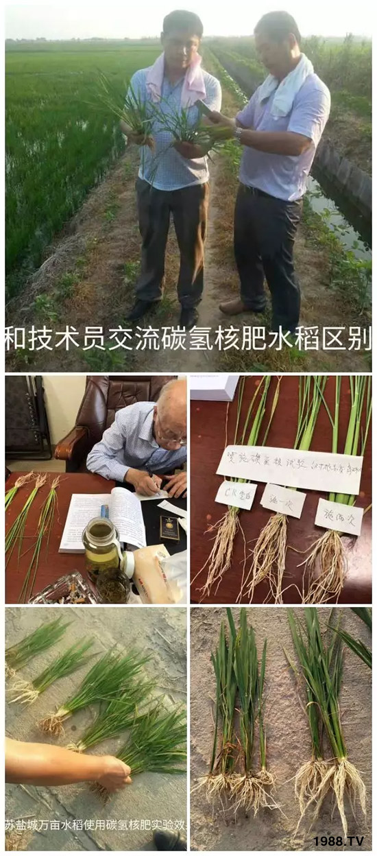 上百家媒體報(bào)道，打造超過歐盟食品標(biāo)準(zhǔn)作物！碳?xì)浜朔示褪沁@么火爆！