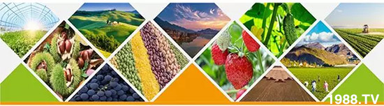 “化肥零增長”高壓下，新型肥料迅速崛起，作物科學(xué)增長空間巨大！