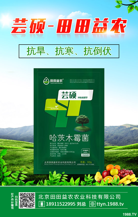 蔬菜葉子發(fā)黃是什么原因，蔬菜黃葉防治技巧！