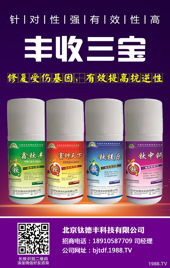 大蒜如何施肥才能高產(chǎn)，大蒜高產(chǎn)施肥技術！