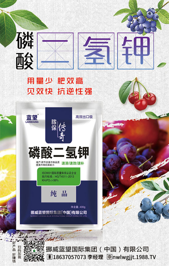 ������t����ֲע�������������t������ڹ�������