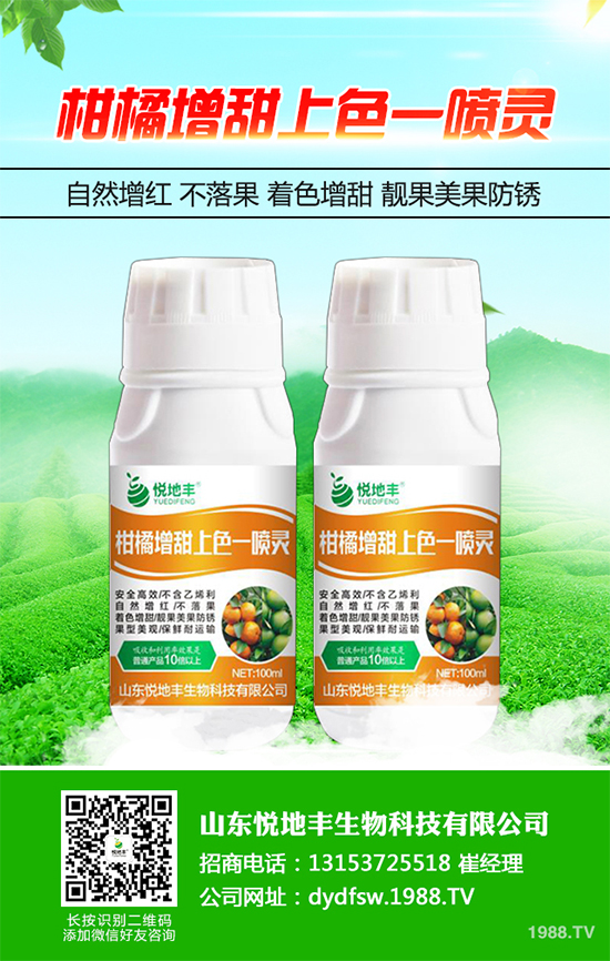 西蘭花該怎么種植？西蘭花高產(chǎn)種植技術(shù)要點