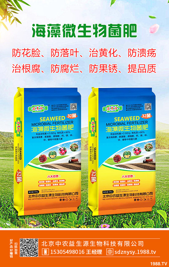 茄子什么時候種植，茄子一般幾月成熟？