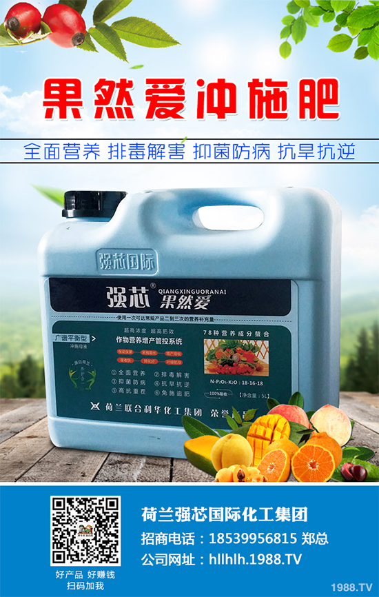 芥菜種植需要注意什么？芥菜高效種植技術(shù)及管理事項(xiàng)