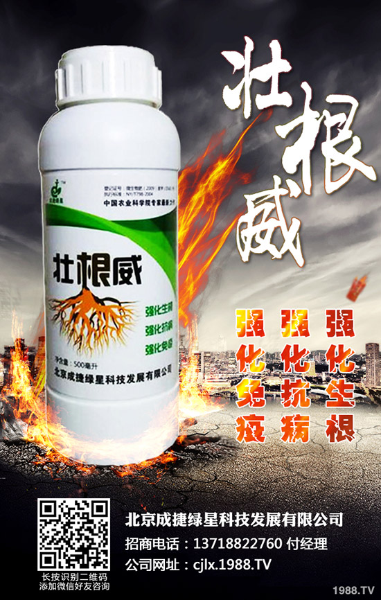 青椒的種植方法有哪些？青椒種植過(guò)程中需要注意的幾大問(wèn)題