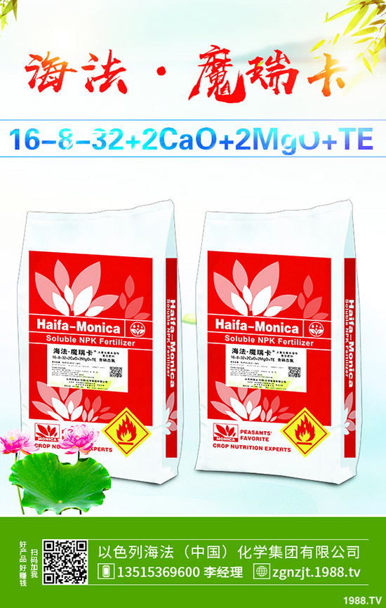     今日最新磷酸二氫鉀參考報價一覽2019-9-13