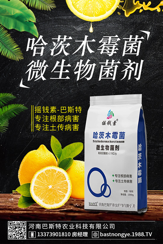 虎皮蘭爛根怎么辦，虎皮蘭爛根的防治措施！