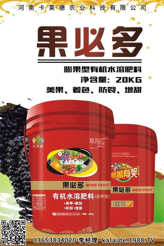 芥菜該怎么吃？常見芥菜吃法及注意事項(xiàng)