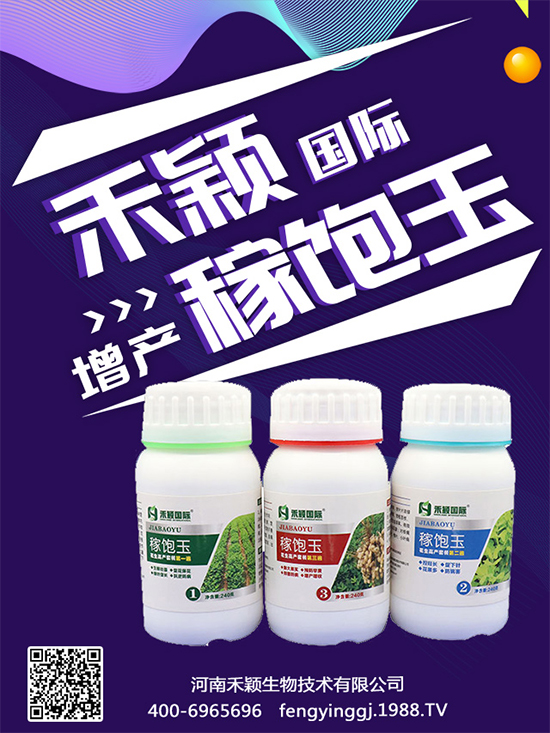 秋葵種植和收獲時間，秋葵種植的生長環(huán)境！