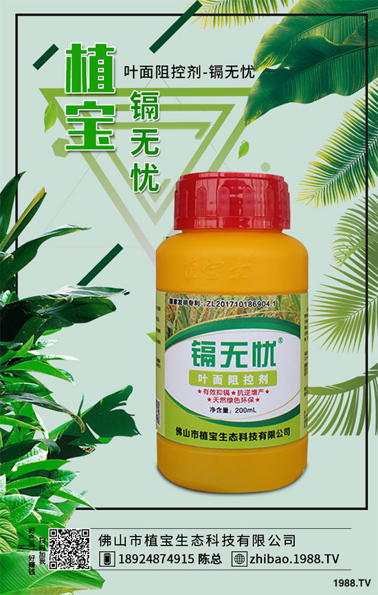 秋季大蔥什么時(shí)間種植？2019秋茬大蔥種植技術(shù)指南