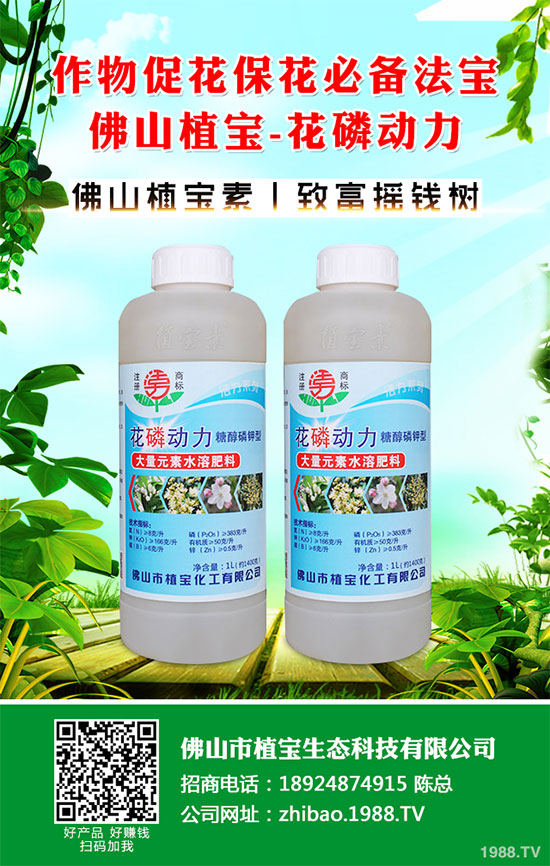 秋季大蔥什么時(shí)間種植？2019秋茬大蔥種植技術(shù)指南