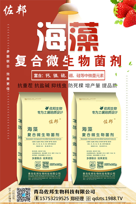 紫薯如何種植？紫薯種植方法和注意事項(xiàng)！