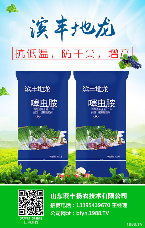     秋冬甘蔗什么時候種植？甘蔗的種植時間及種植技術(shù)！