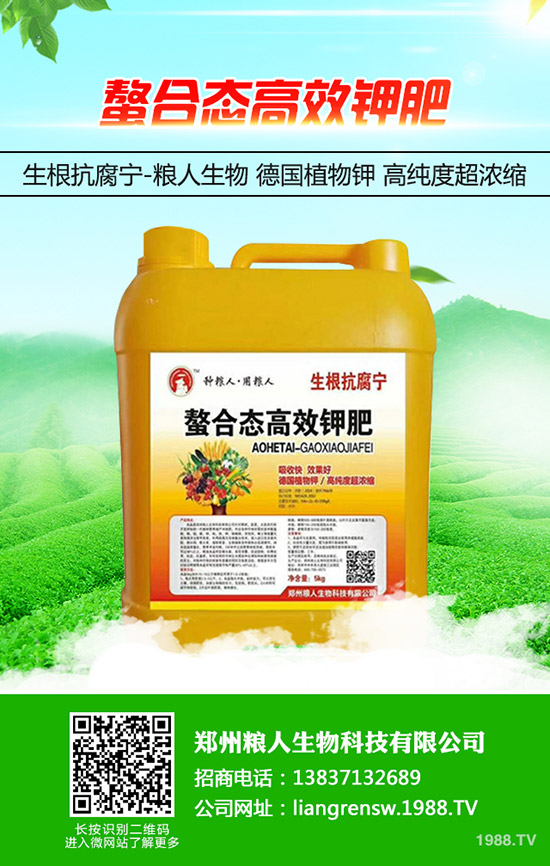 金銀花如何施肥，金銀花高產(chǎn)施肥要點(diǎn)！