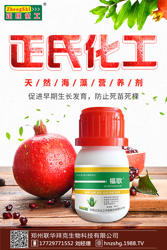 金銀花有什么作用，金銀花的功效與食用禁忌！