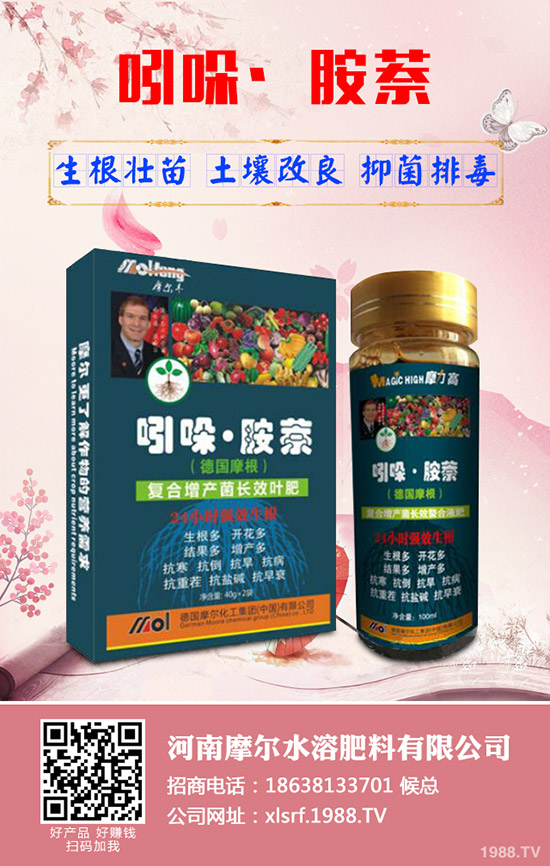 蓮藕怎樣才能高產(chǎn)，蓮藕的高產(chǎn)管理技術(shù)