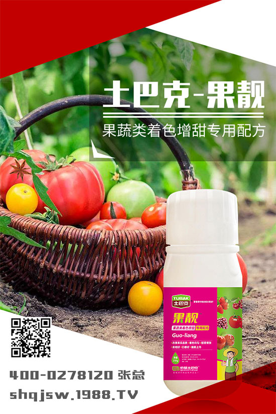 南瓜種植時間是什么時候？南瓜的播種方法及栽培技術(shù)!