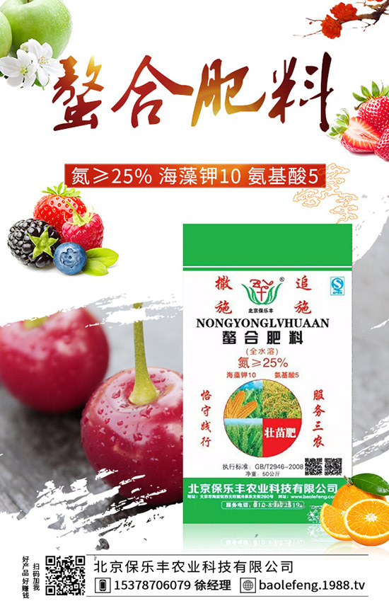 西紅柿如何打葉，西紅柿打葉技巧及注意事項(xiàng)