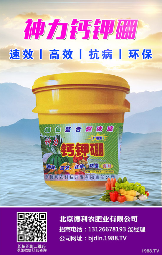 茄子怎么播種？茄子的高產(chǎn)種植方法！