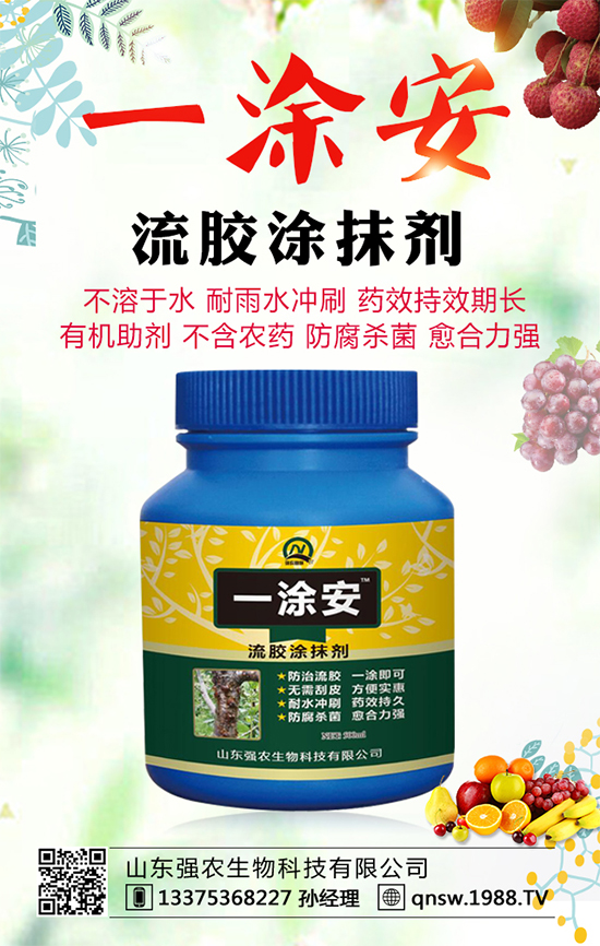 軟籽石榴品種有哪些？軟籽石榴的高產(chǎn)種植技術