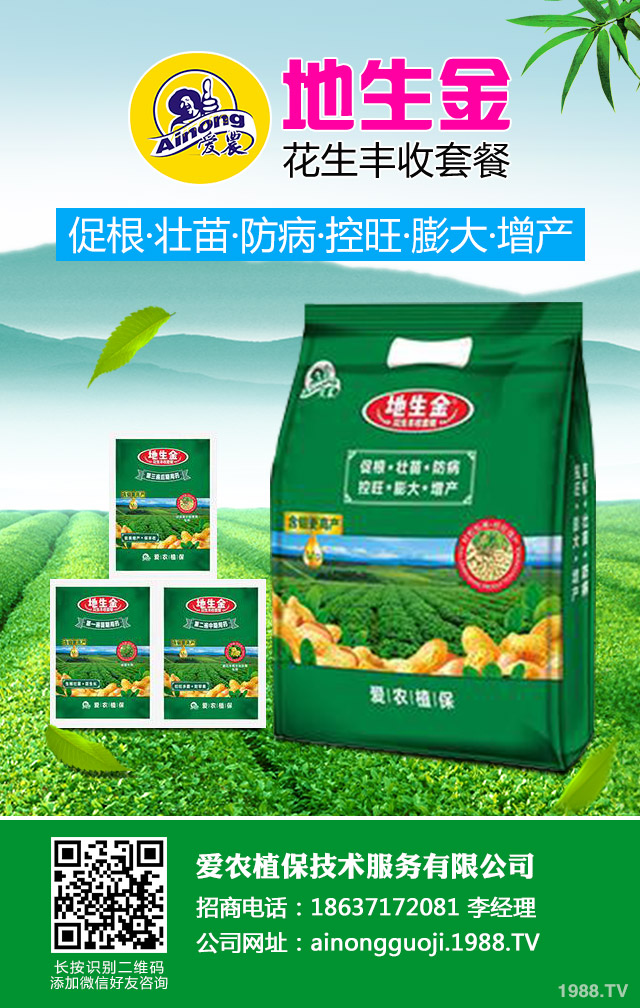 地膜棉花倒伏如何防治？地膜棉花倒伏應(yīng)對措施