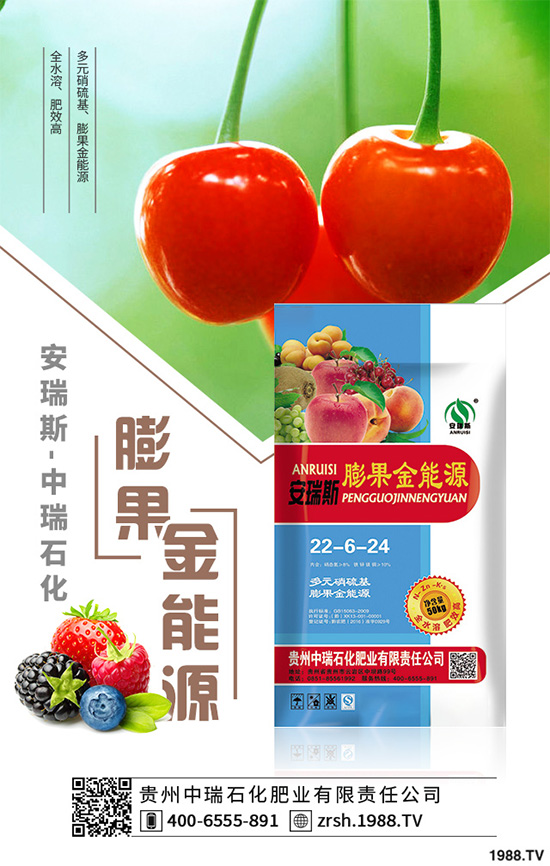 萵苣該如何育苗？萵苣苗期管理技術(shù)要點