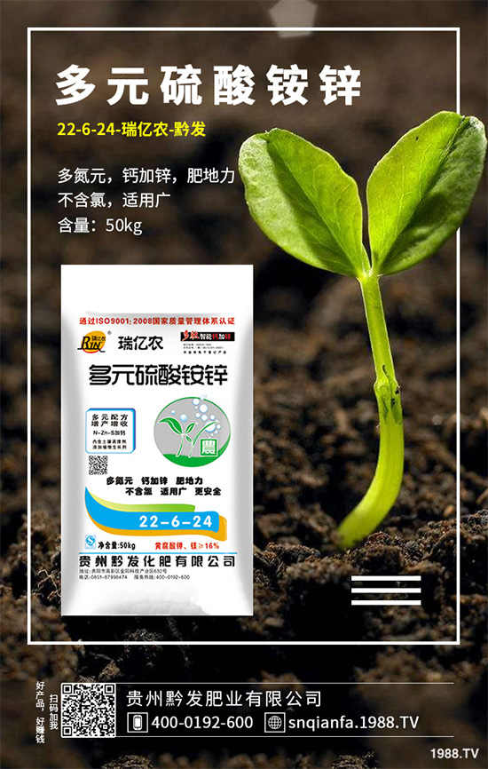 萵苣該如何育苗？萵苣苗期管理技術(shù)要點