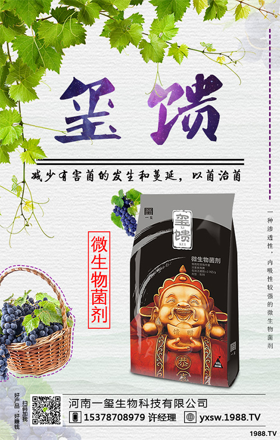     北方怎樣種植藍莓？種植藍莓應(yīng)該注意什么？