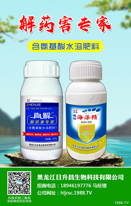 蘋果輪紋病有什么危害，蘋果輪紋病的防治方法！
